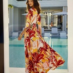 Soft Surroundings Elia Dress